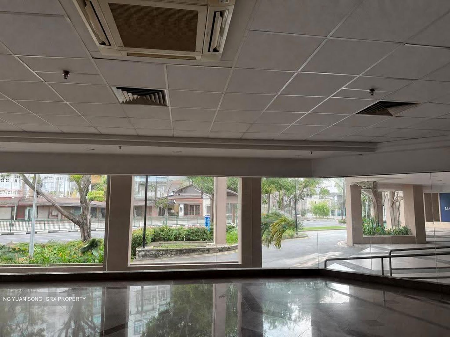 Balestier Point (D12), Shop House #613094161